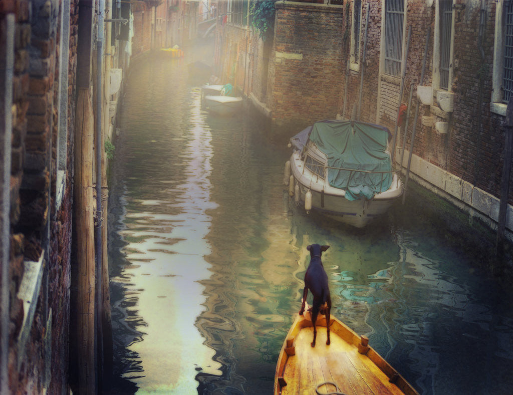 Detail of First Mate, Venice by Dee Smart