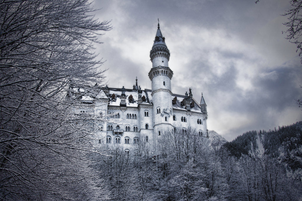 Detail of Neuschwanstein by Eugenia Kyriakopoulou