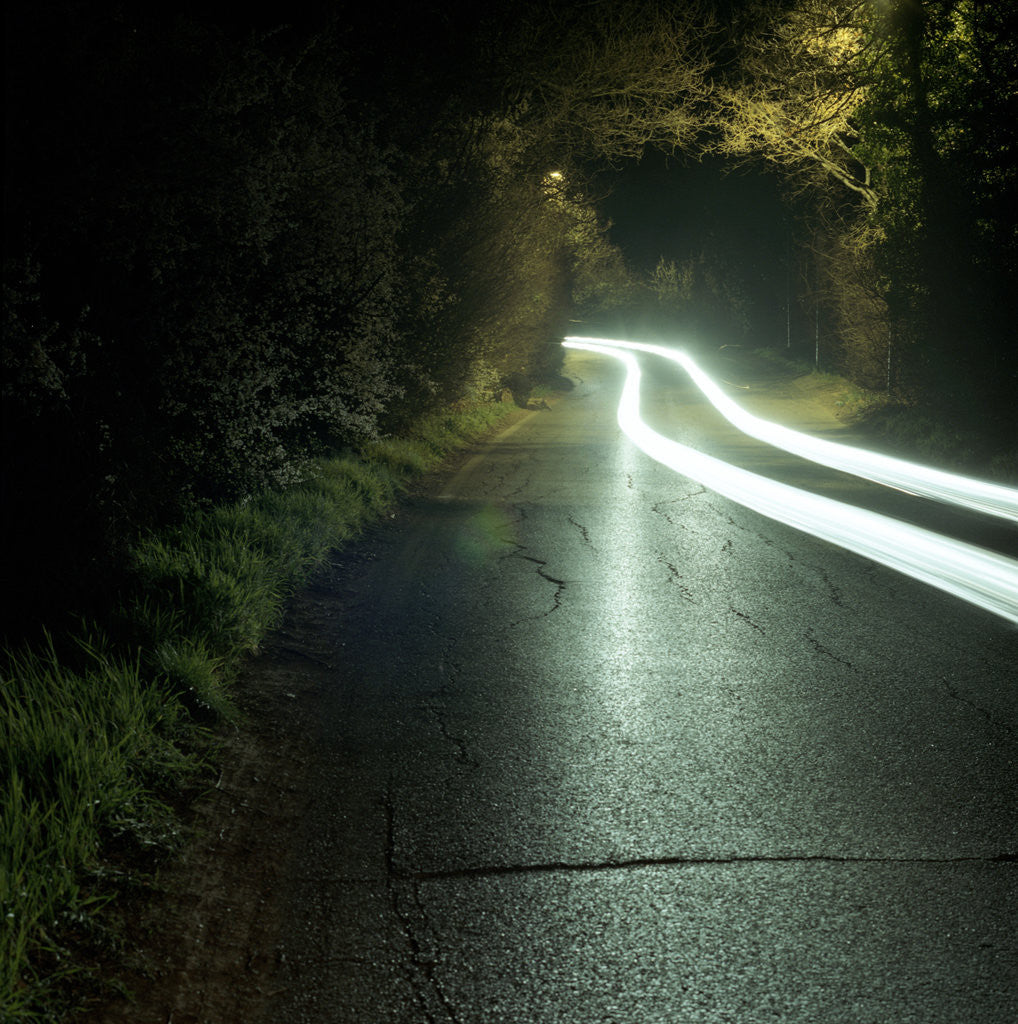 Detail of Street light by Eva Sauer