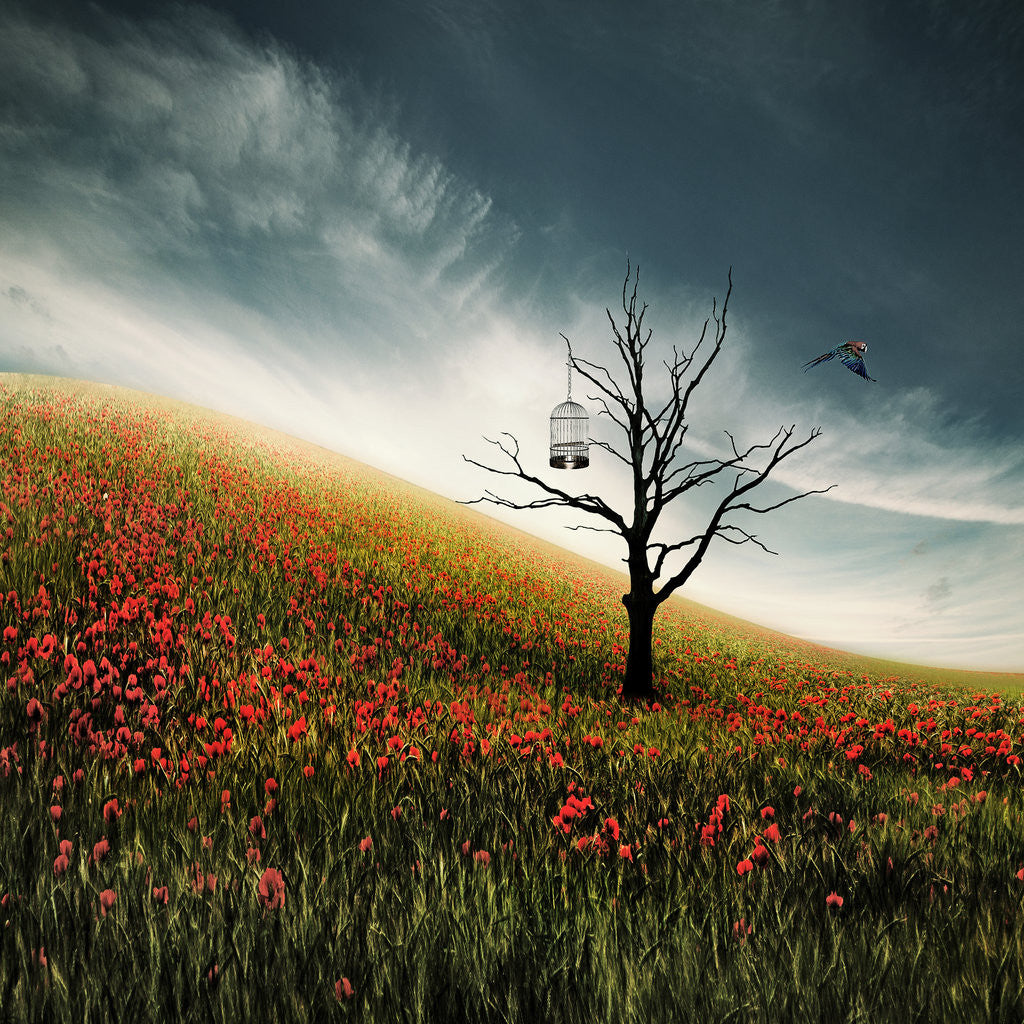 Detail of Free bird by Christine Ellger