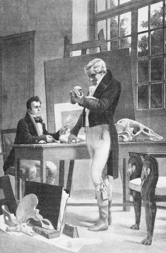 Detail of Print of Georges Cuvier Examining Animal Fossils by Corbis