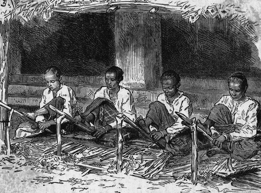 Detail of Young Ceylonese Natives Preparing Bark for Trade by Corbis