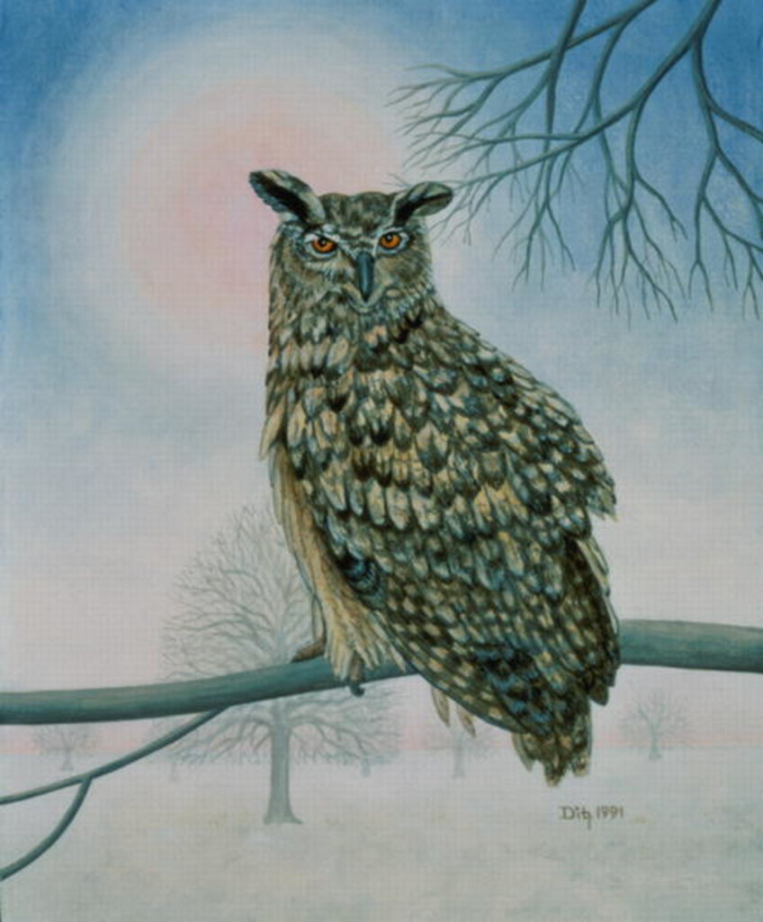 Detail of Winter-Owl by Ditz Ditz