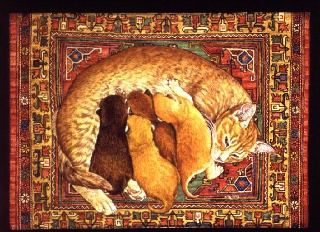 Detail of Carpet-Kittens by Ditz Ditz