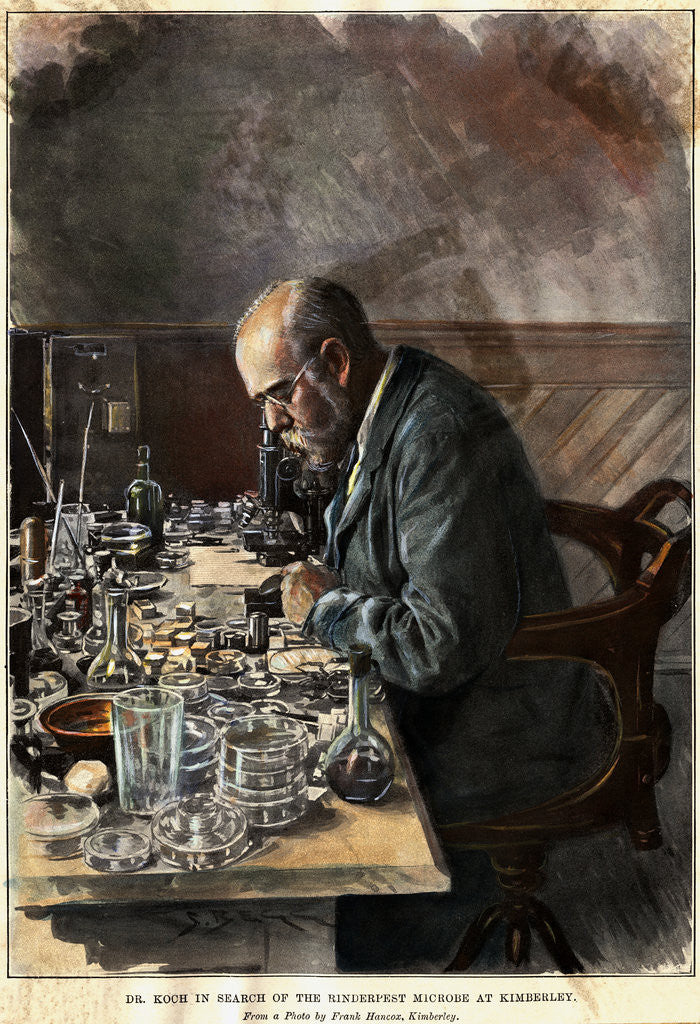 Detail of Illustration of Scientist Robert Koch Working in Laboratory by Corbis