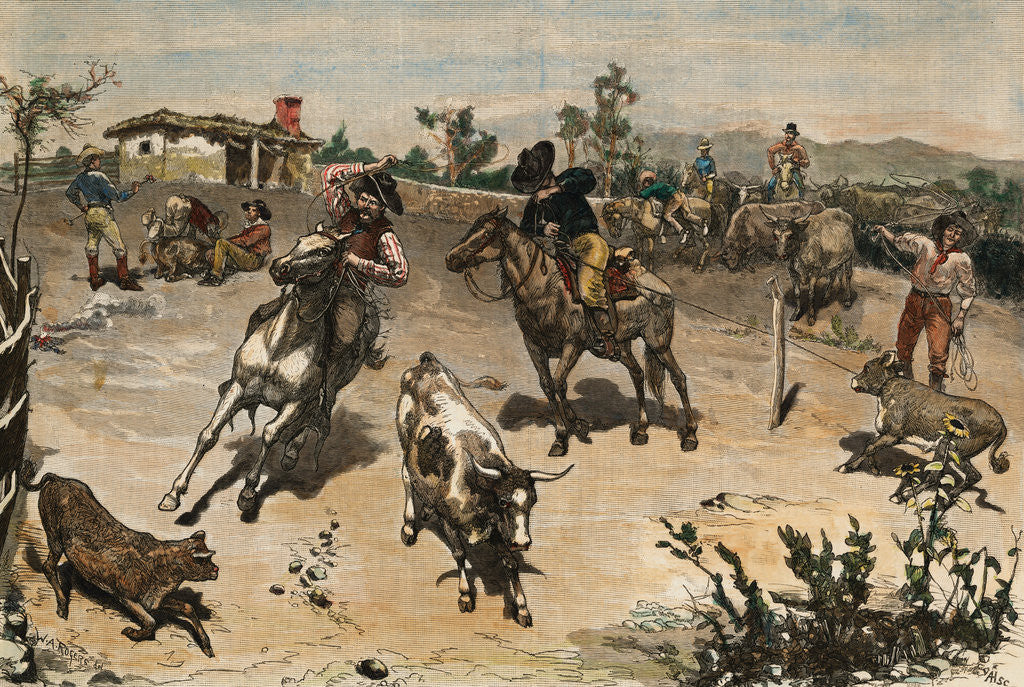 Detail of Cowboys Roping Cattle by Corbis