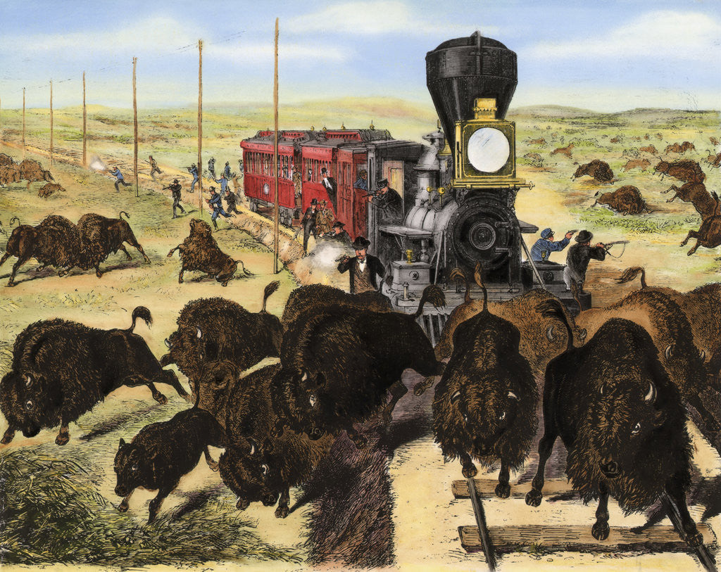 Detail of Shooting Buffalo on the Kansas-Pacific Railroad by Corbis