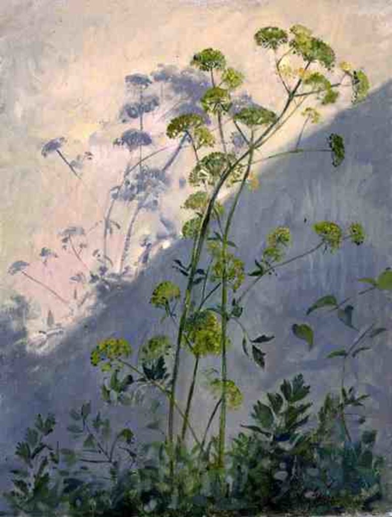 Detail of Lovage Against Diagonal Shadows, 1999 by Timothy Easton