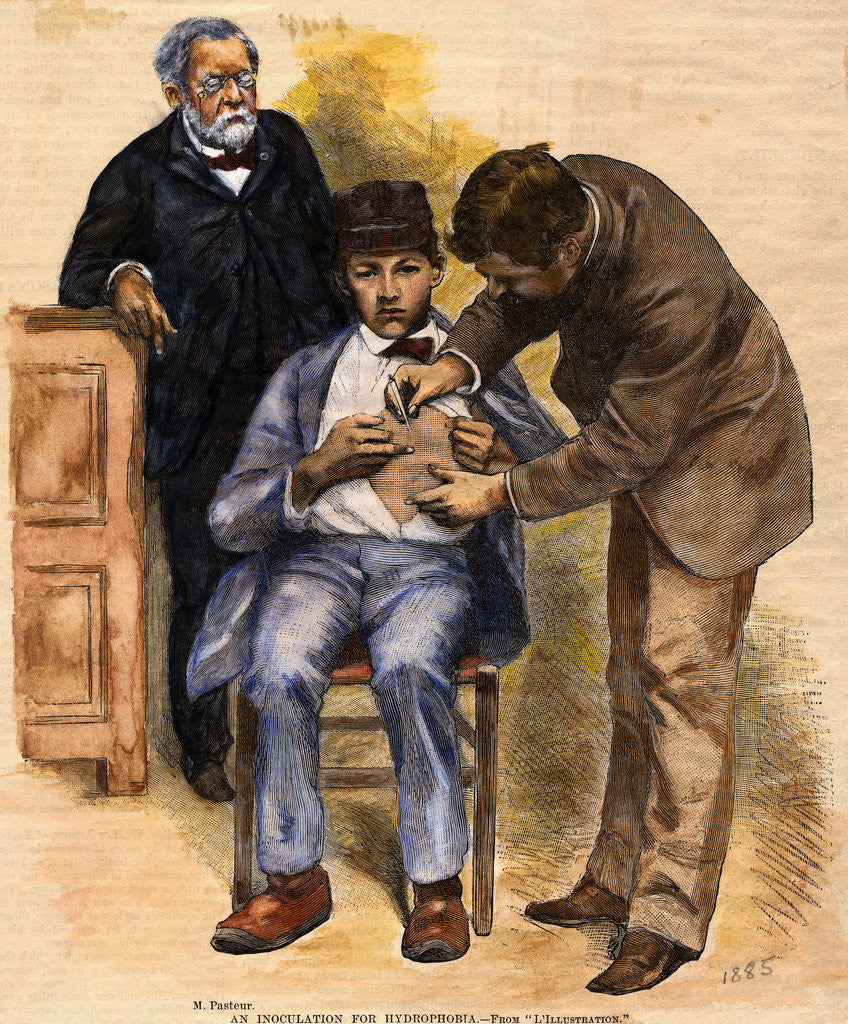 Detail of Print of Pasteur Performing Rabies Treatment on Patient by Corbis