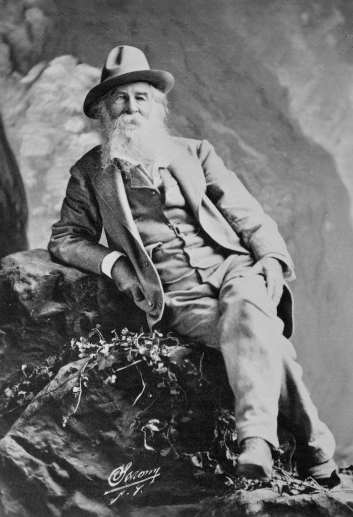 Detail of Portrait of Author Walt Whitman by Corbis