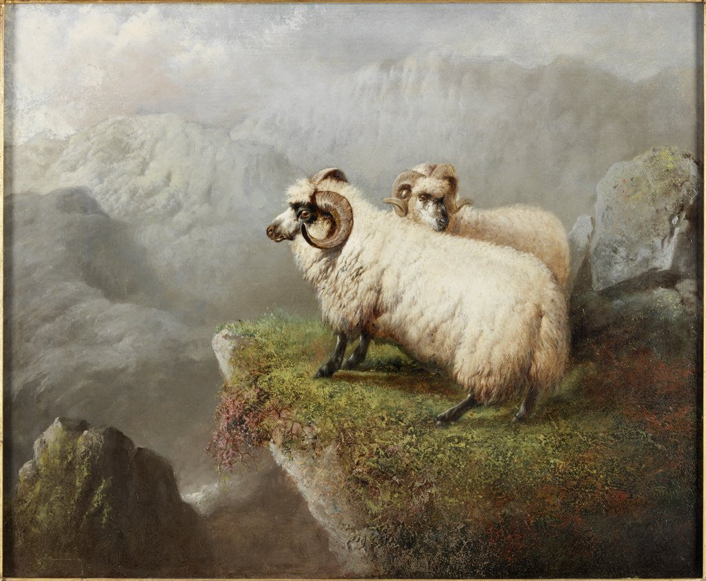 Detail of Sheep on a Cliff Edge by George Hepper