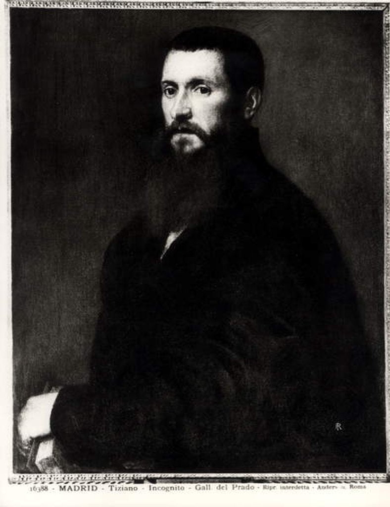 Detail of Portrait of an Unknown Man by Titian