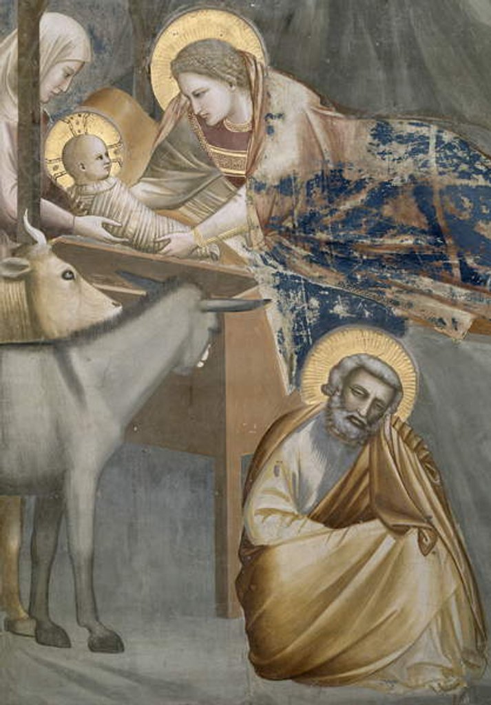 Detail of The Nativity by Giotto