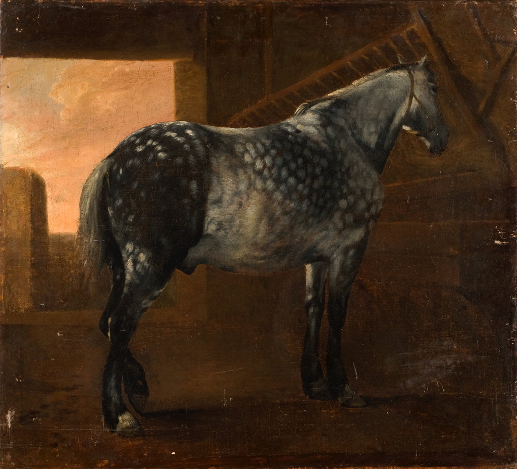 Detail of A Dapple Grey Horse by Aelbert Cuyp