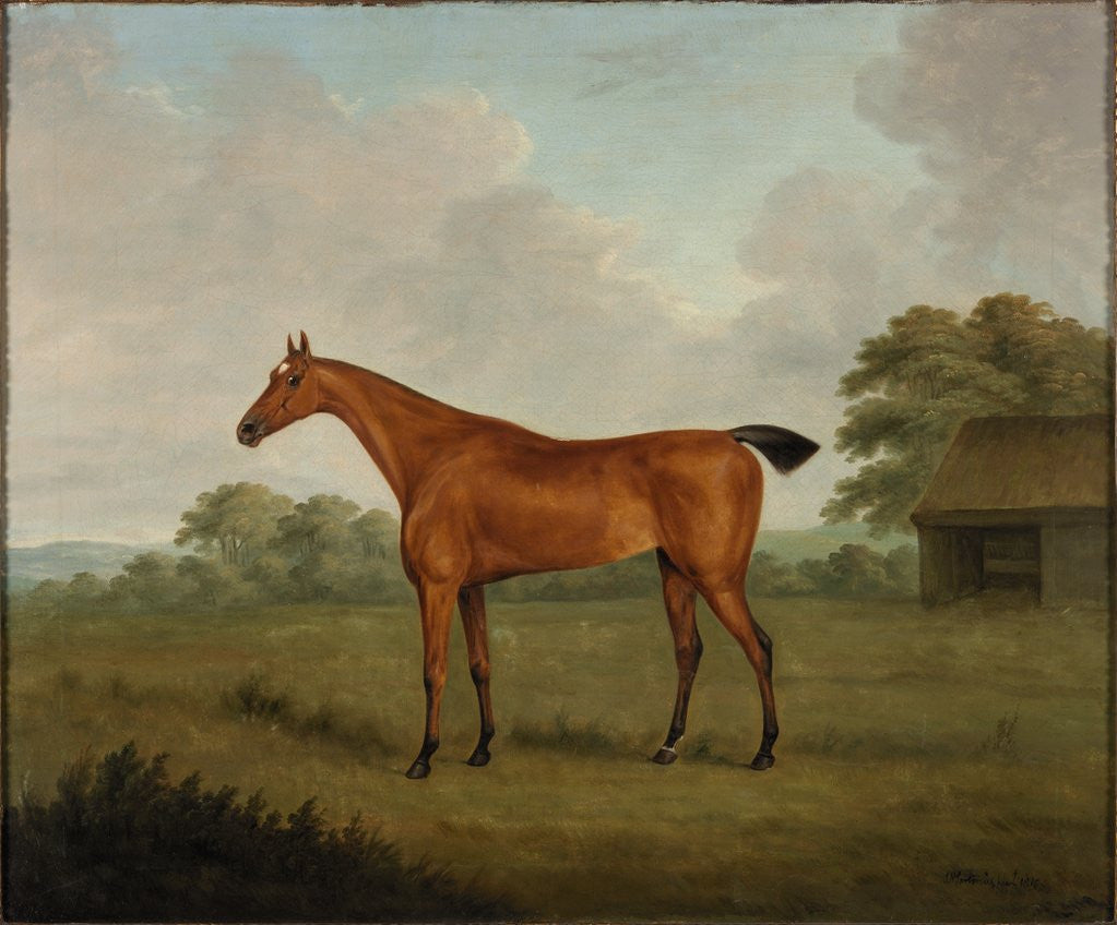 Detail of Chestnut Horse in a Landscape by John Nost Sartorius