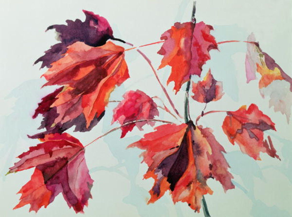 Detail of No.24 Autumn Maple Leaves by Izabella Godlewska de Aranda