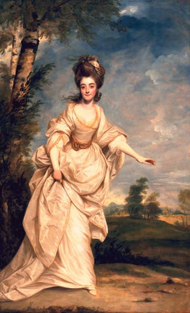 Detail of Diana, Viscountess Crosbie, 1777 by Joshua Reynolds