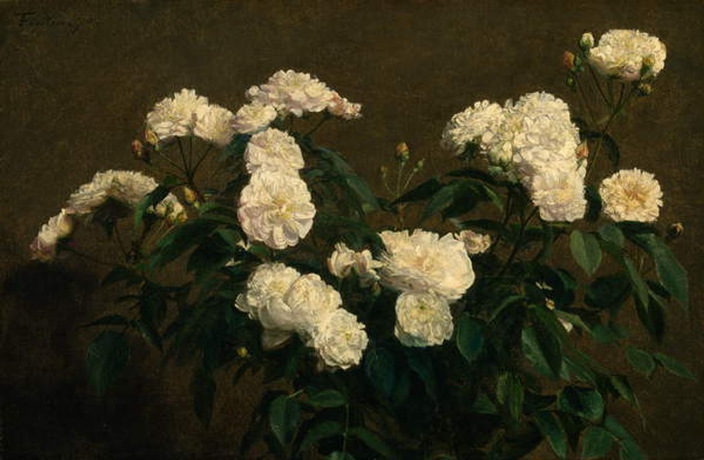 Detail of Still Life of White Roses, 1870 by Ignace Henri Jean Fantin-Latour