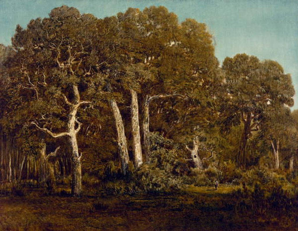 Detail of The Great Oaks of Old Bas-Breau, 1864 by Theodore Rousseau