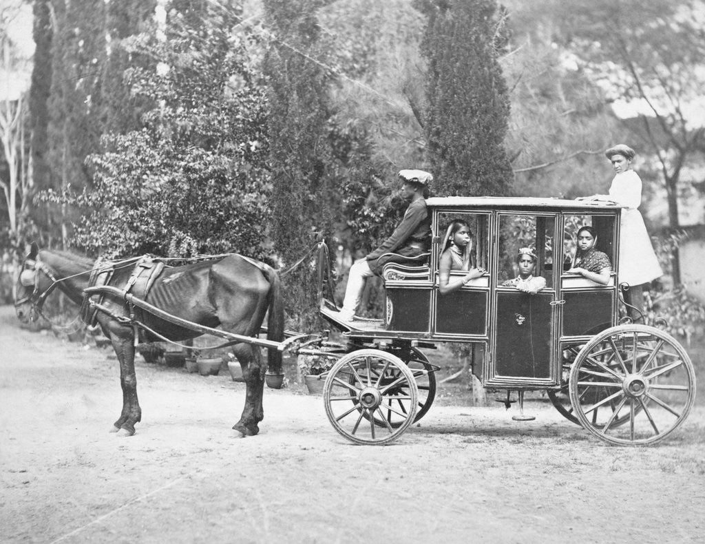 Detail of Horse Drawn Carriage by Corbis