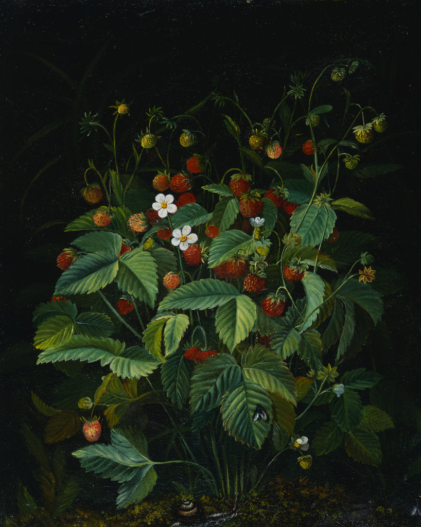 Detail of Wild Strawberries by Otto Diderich Ottesen