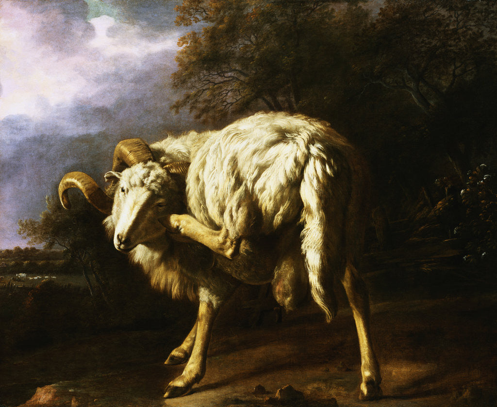 Detail of A Ram in a Wooded Landscape Attributed to Jan Baptist Weenix by Corbis