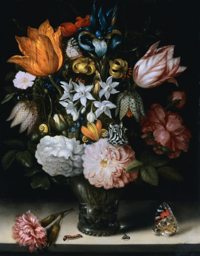 Detail of Tulips, Narcissi, and Other Flowers in a Glass Vase, with a Caterpillar, a Fly and a Painted Lady by Ambrosius Bosschaert the Elder