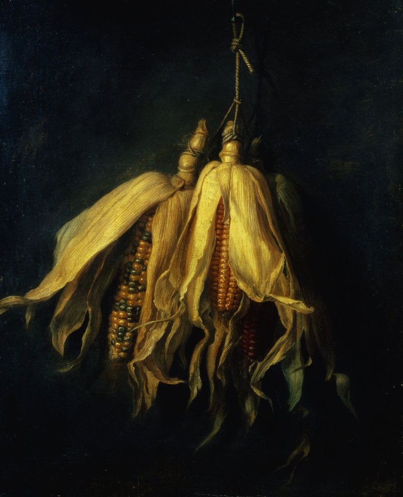 Detail of Three Corncobs Hanging from a Nail by Cornelis van Spaendonck