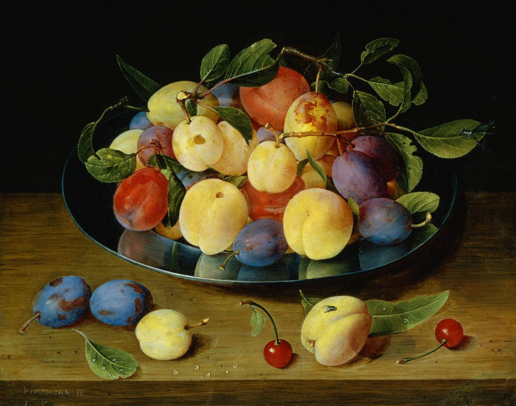 Detail of Plums and Peaches on a Pewter Plate by Jacob van Hulsdonck