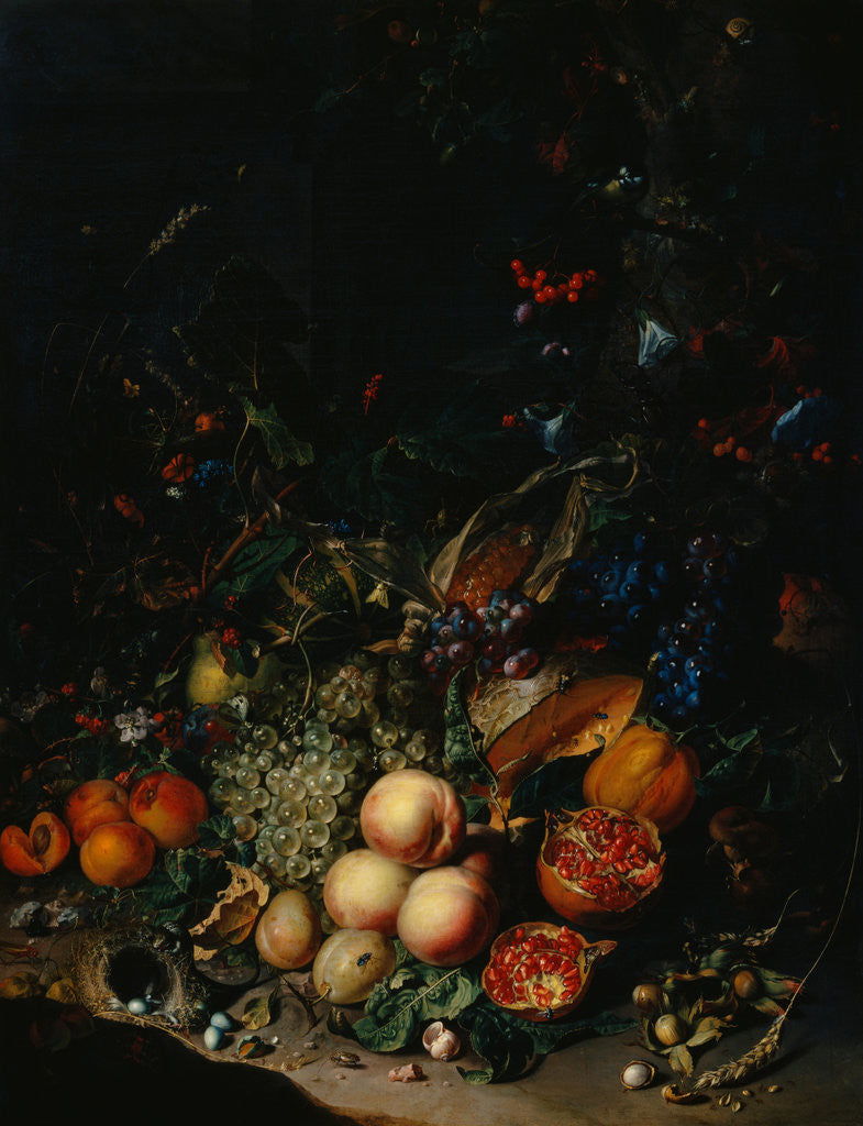 Detail of Still Life with Fruit and Acorns by Rachel Ruysch