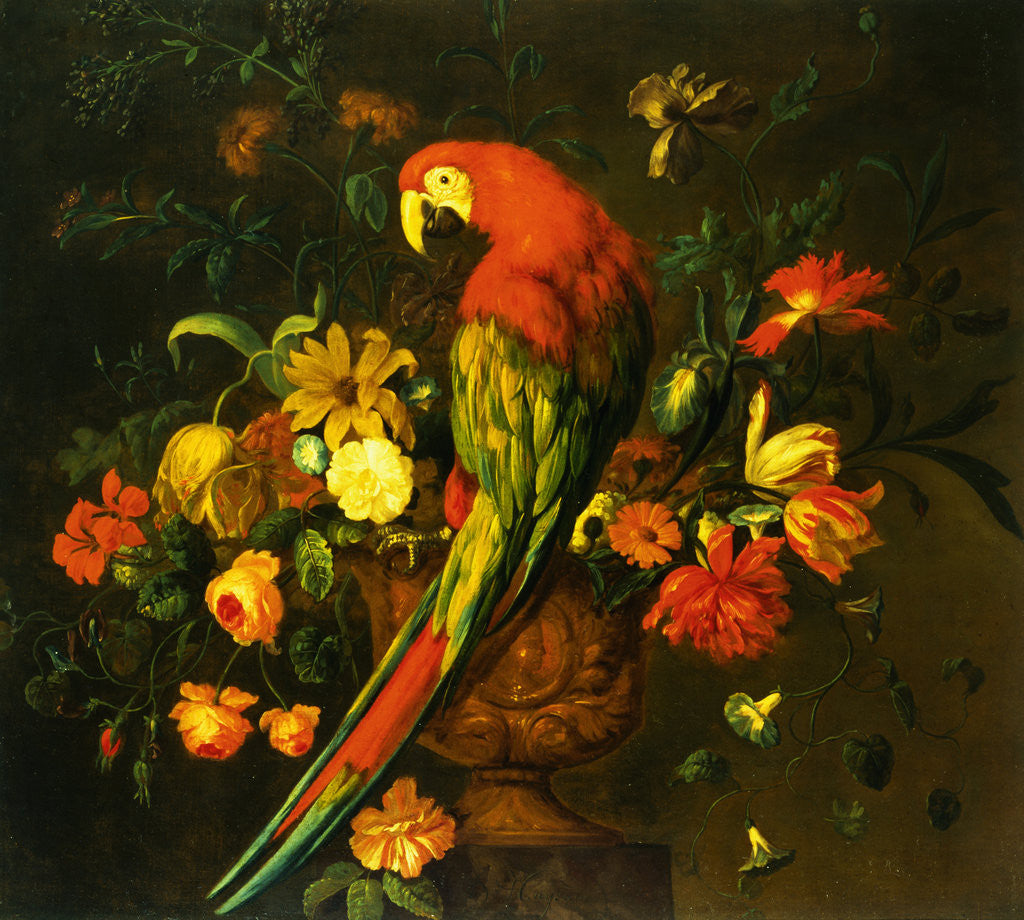 Detail of Painting of a Scarlet Macaw Perched on a Sculpted Urn with a Bouquet by Justus van Huysum I