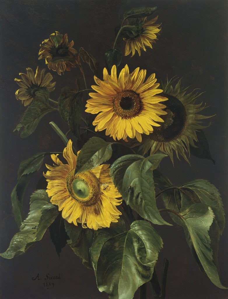 Detail of Sunflowers by Louis Apollinaire Sicard