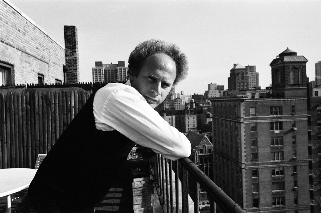 Detail of Art Garfunkel, 1980 by Michael Brennan