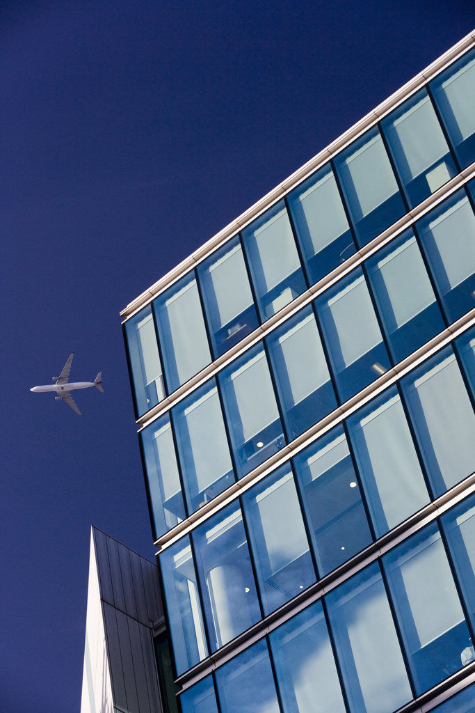 Detail of Sharing the Sky by Joas Souza