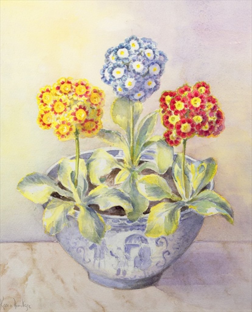 Detail of Auricula in a Chinese Pot by Karen Armitage