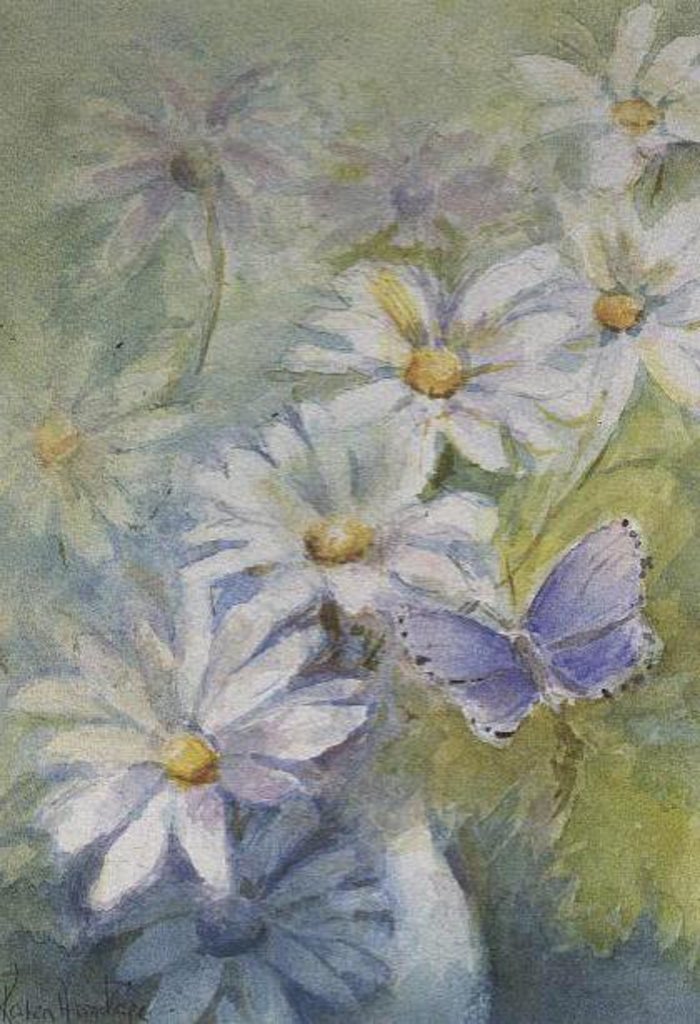 Detail of Common Blue on Daisies by Karen Armitage