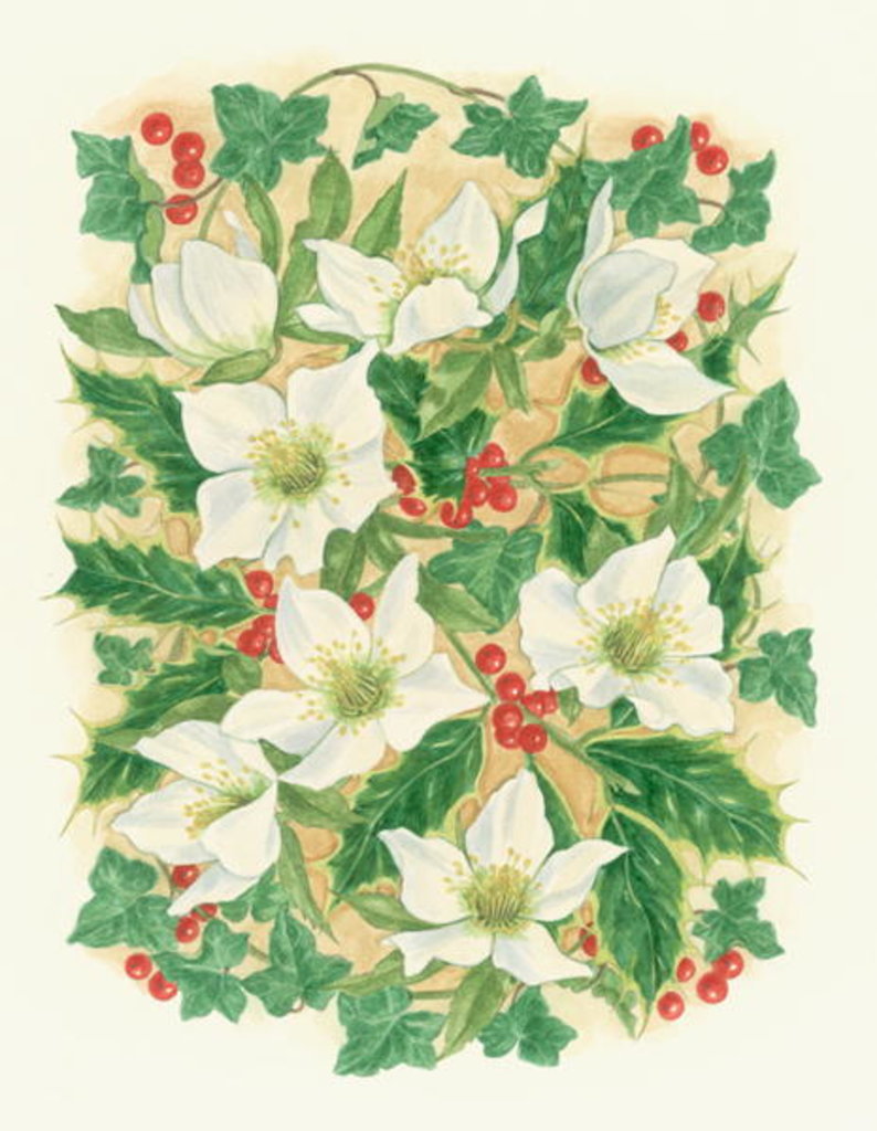 Detail of Christmas Roses, 1997 by Linda Benton