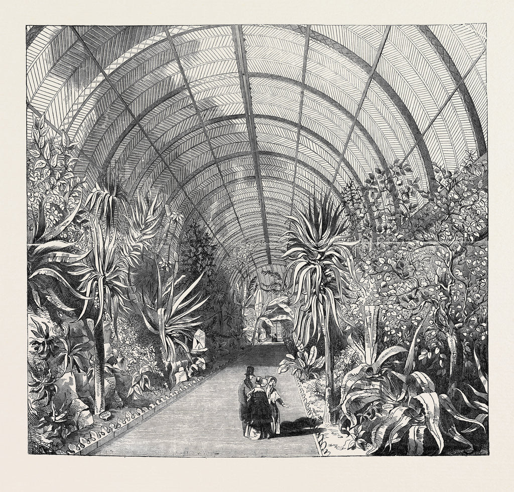 Detail of The Great Chatsworth Conservatory: The Interior, from the Central Walk by Anonymous