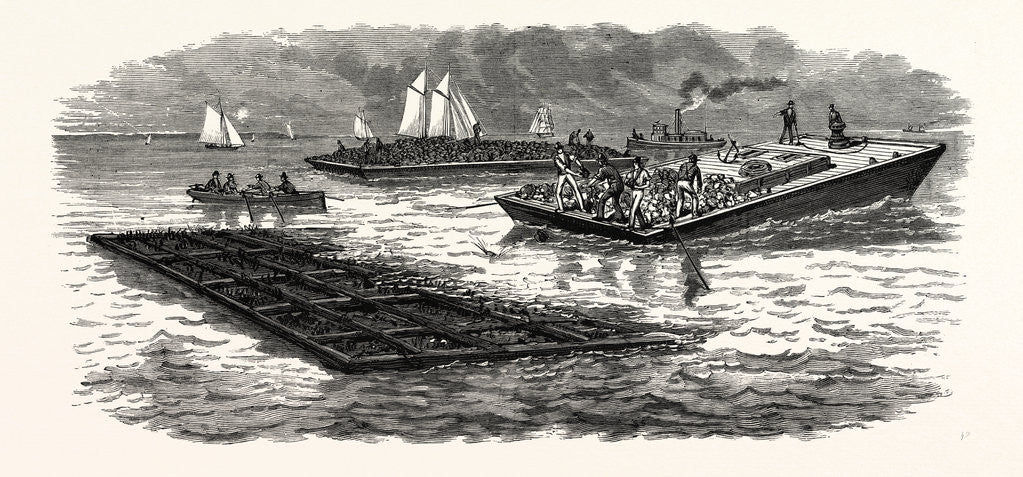 Detail of South Carolina: The South in 1880: Construction of Jetties for the Improvement of Charleston Harbor by Anonymous