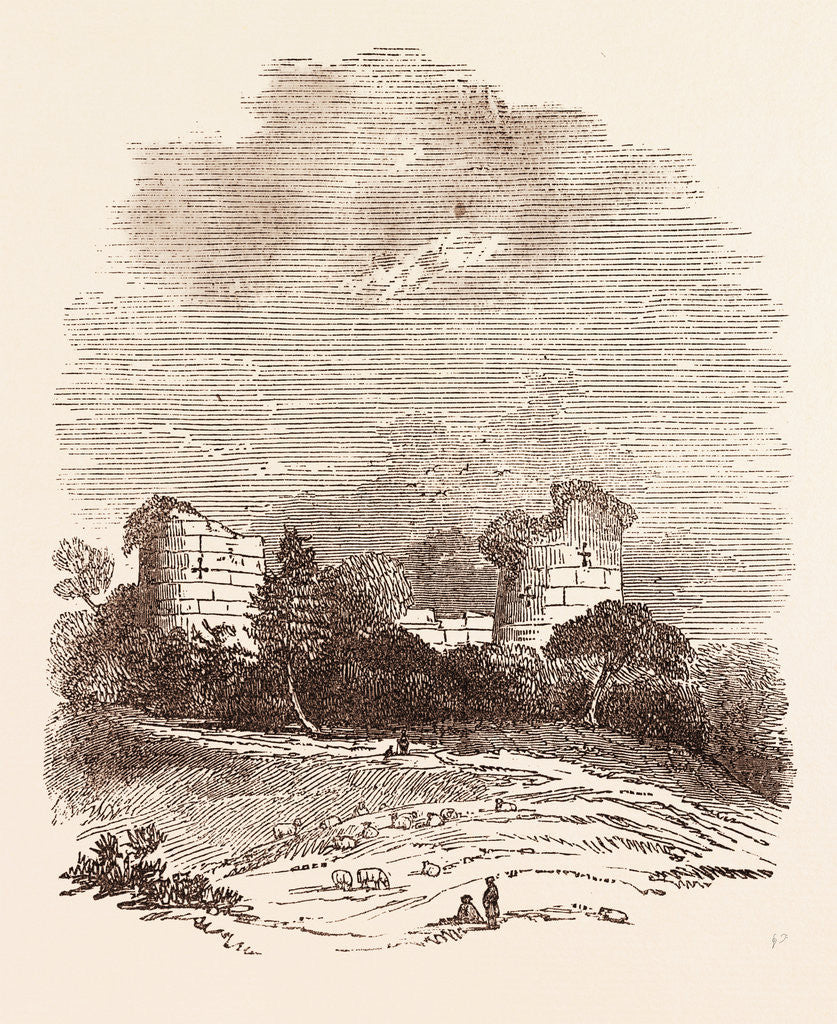 Detail of Ruins of Chartley Castle by Anonymous