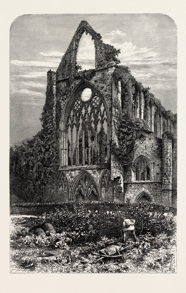 Detail of West Front of Tintern Abbey by Anonymous