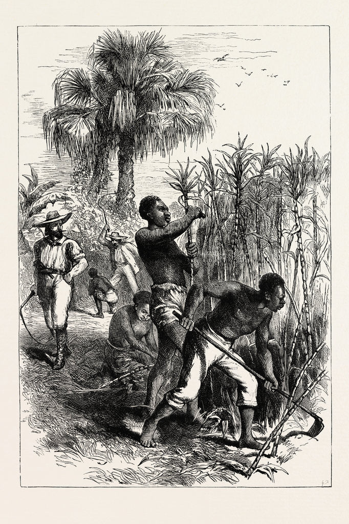 Detail of Slaves Working on a Plantation by Anonymous