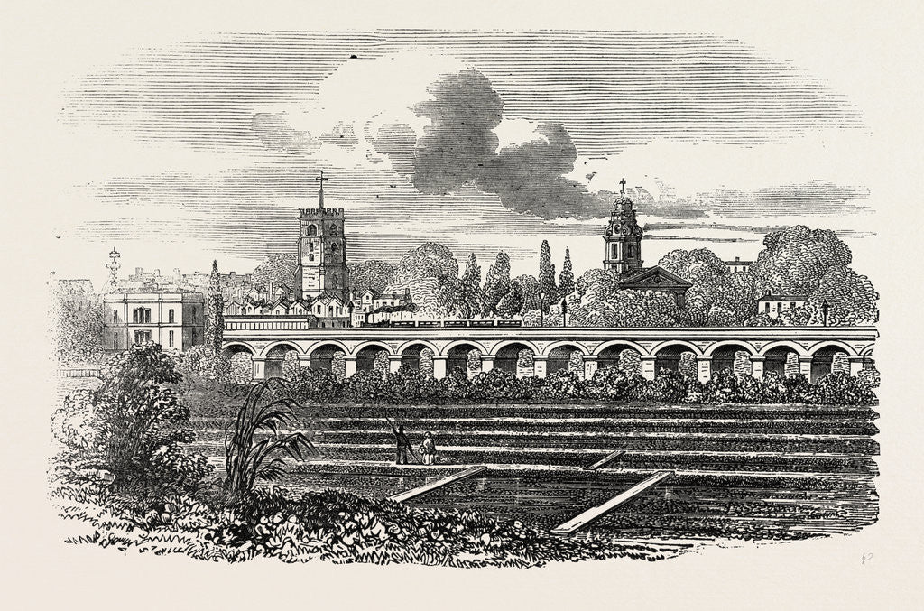 Detail of Hackney Station, and Watercress Plantation, London by Anonymous