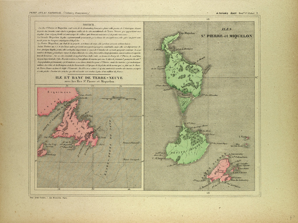 Detail of Map of Terra Nova by Anonymous