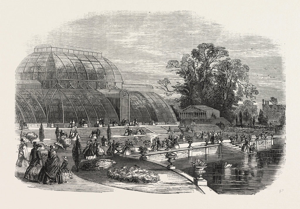 Detail of The Palmhouse, Kew Gardens, London, 1859 by Anonymous