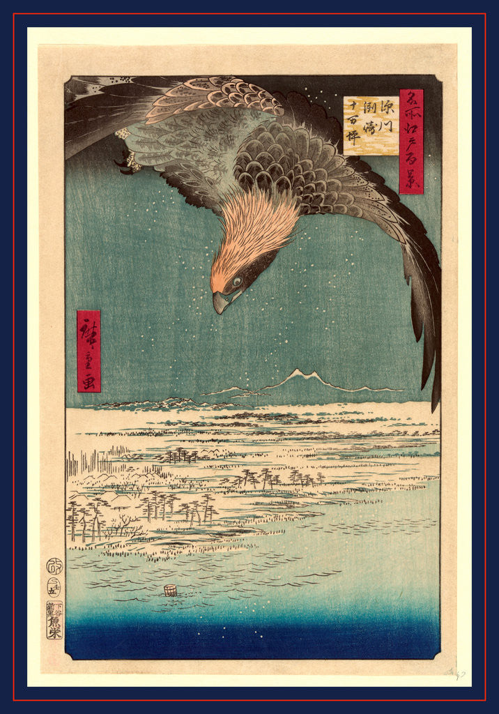 Detail of Hawk Flying above a Snowy Landscape Along the Coastline. by Anonymous