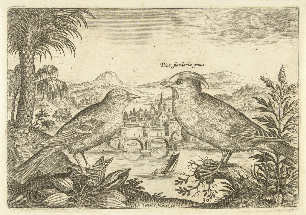 Detail of Two birds in a landscape by Adriaen Collaert