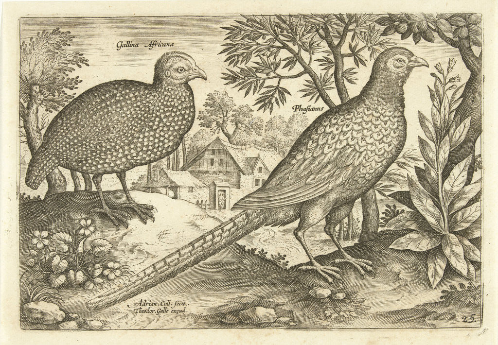 Detail of Two chickens in a landscape by Adriaen Collaert