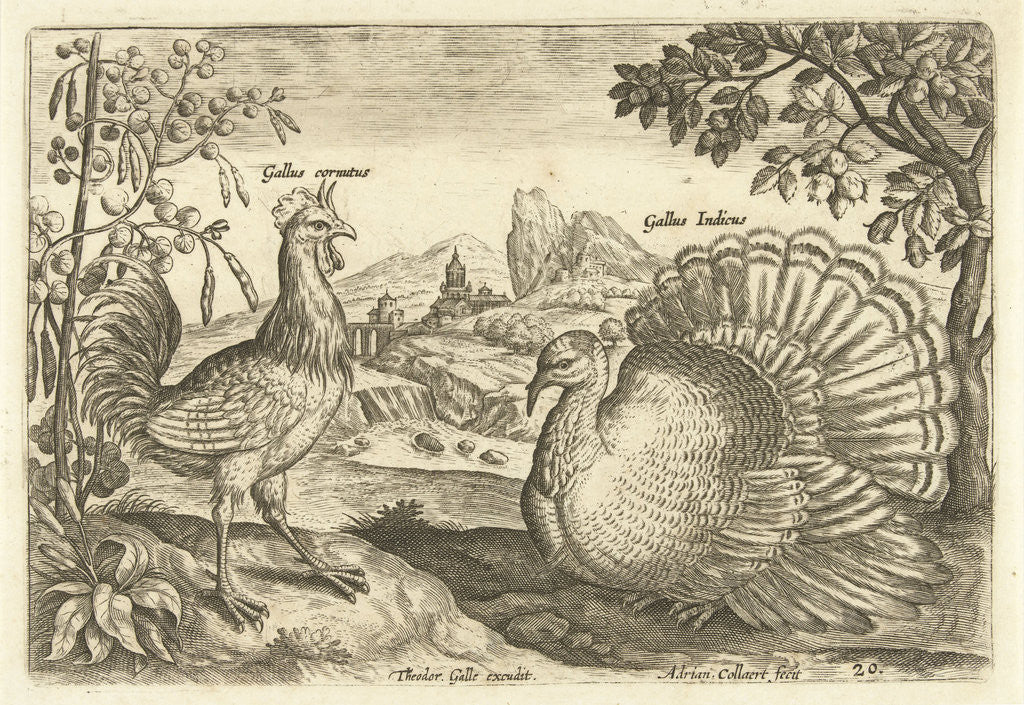 Detail of Two chickens in a landscape by Adriaen Collaert