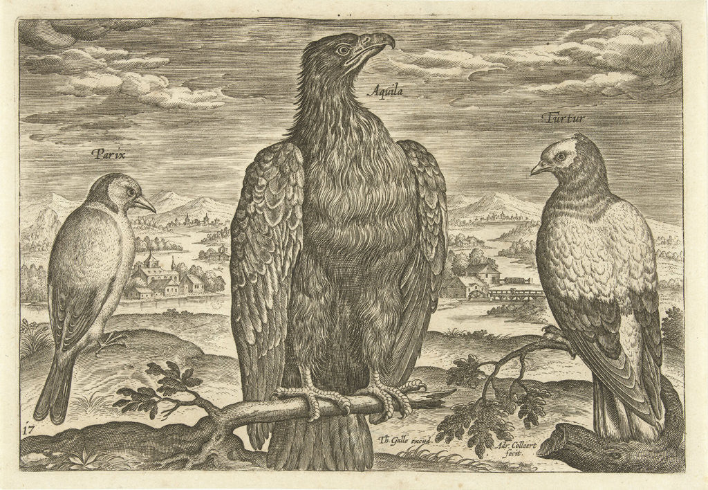 Detail of Three birds in a landscape by Theodoor Galle